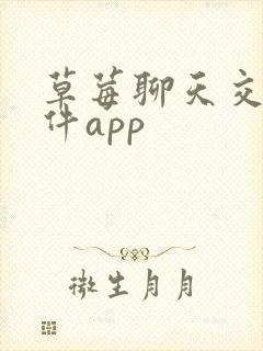 草莓聊天交友软件app