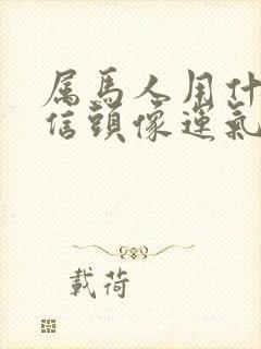 属马人用什么微信头像运气好