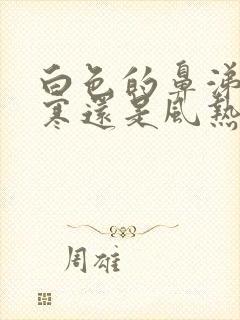 白色的鼻涕是风寒还是风热