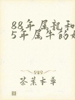 88年属龙和85年属牛的婚配封面