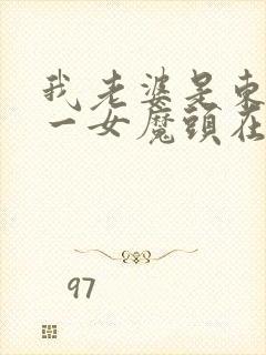 我老婆是东晋第一女魔头在线阅读封面