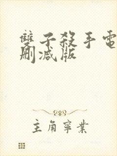 双子杀手电影未删减版