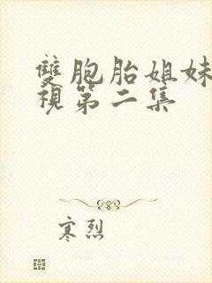 双胞胎姐妹的蔑视第二集