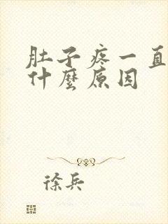 肚子疼一直吐是什么原因