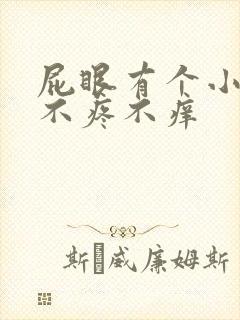 屁眼有个小疙瘩不疼不痒封面