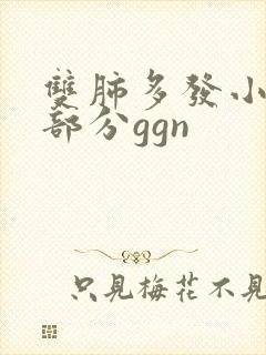 双肺多发小结节部分ggn