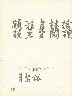 顾淮月林拾安小说免费阅读最新章节