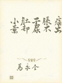 小肚子胀痛有尿意却尿不出来