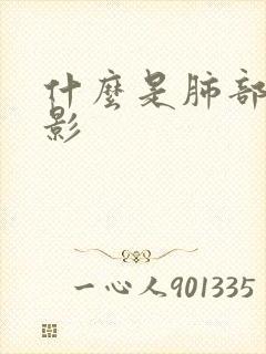 什么是肺部索条影