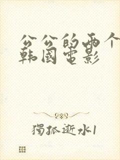 公公的两个儿媳韩国电影封面