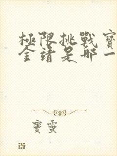 极限挑战宝藏行金靖是哪一期