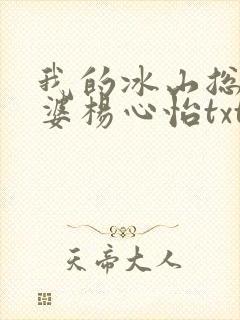 我的冰山总裁老婆杨心怡txt下载