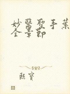 妙医圣手叶皓轩全章节