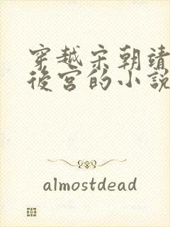 穿越宋朝靖康玩后宫的小说