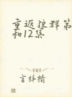 重返狼群第11和12集封面