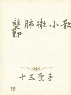 双肺微小散在结节