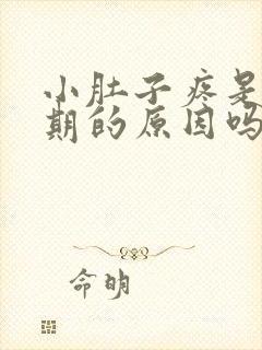 小肚子疼是排卵期的原因吗