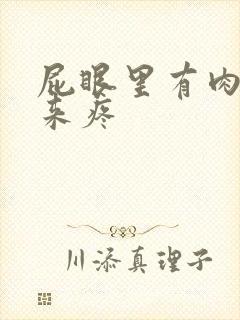 屁眼里有肉球出来疼