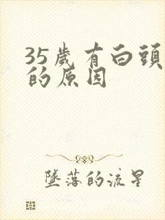 35岁有白头发的原因