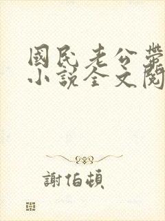 国民老公带回家小说全文阅读