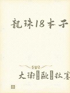 龙珠18本子