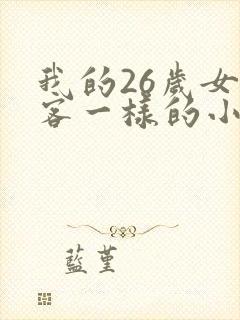 我的26岁女房客一样的小说