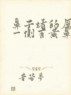 鼻子堵的厉害,一侧有黄鼻涕