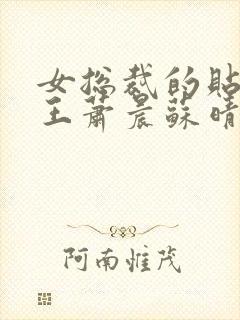 女总裁的贴身兵王萧晨苏晴