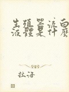 生殖器流白色的液体是什么