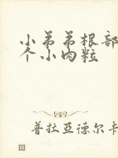 小弟弟根部长了个小肉粒封面