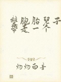 双胞胎儿子女主带走一个