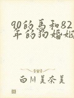 90的马和82年的狗婚姻怎么样封面