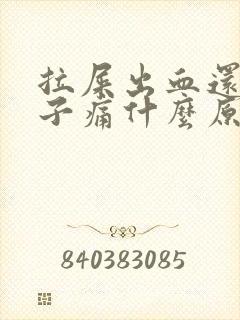 拉屎出血还会肚子痛什么原因