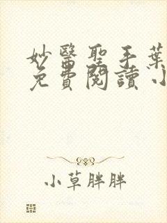 妙医圣手叶皓轩免费阅读 小说