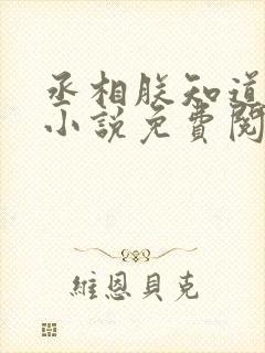 丞相朕知道错了小说免费阅读