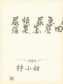 尿频 尿急 尿痛是怎么回事封面