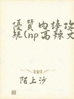 优质肉棒攻略系统(np高辣文)