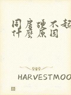 同房硬不起来是什么原因