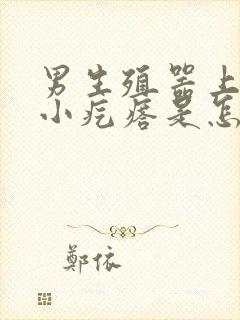 男生殖器上面有小疙瘩是怎么回事