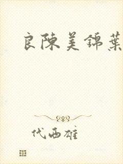 良陈美锦叶限封面