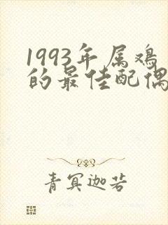 1993年属鸡的最佳配偶属相