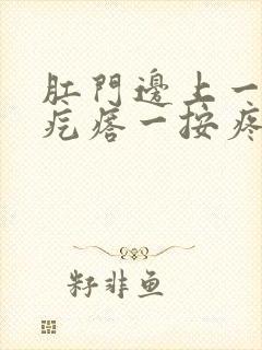 肛门边上一个硬疙瘩一按疼