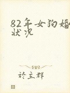 82年女狗婚姻状况