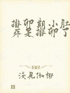 排卵期小肚子胀疼是排卵了吗封面