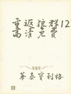 重返狼群12集高清免费