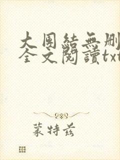 大团结无删减版全文阅读txt