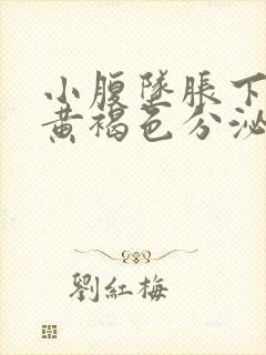 小腹坠胀下体有黄褐色分泌物