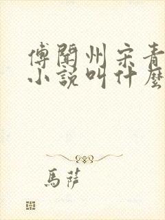 傅闻州宋青柚的小说叫什么