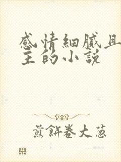 感情细腻且多女主的小说