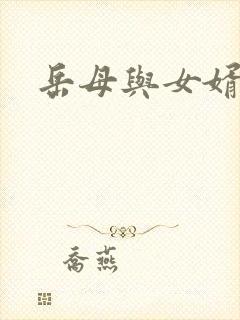 岳母与女婿乱搞封面